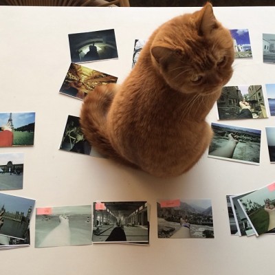 One of Ai Weiwei's cats with photos from the artist's "Study in Perspective" series.