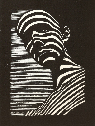 Felix Lucero, Blind Curve, 2010; courtesy William James Association.