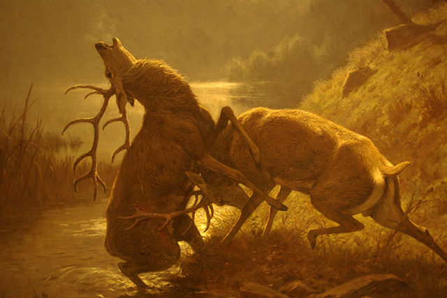 Fighting Stags by Moonlight by George Frederic Rotig, 1900