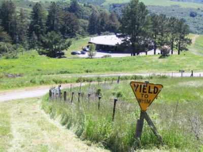 <i>Yield to Whim</i> by Frank Foreman. One example of work on the Djerassi Sculpture Tour