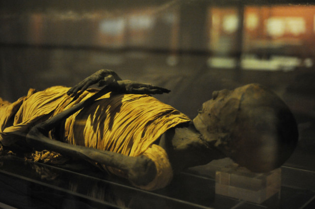 Mummy in the Rosicrucian Egyptian Museum. (Photo by Adrienne Blaine)