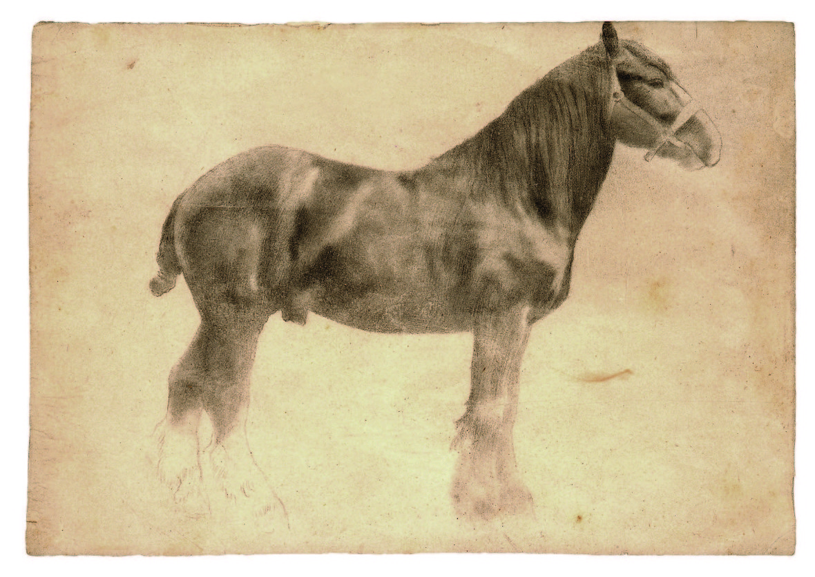 Edgar Degas, 'Plough Horse.' (Courtesy of the Petaluma Arts Center)