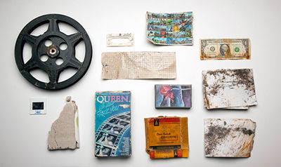 A People's Archive of Sinking and Melting, 'New York Collection,' collected Nov. 5, 2012. (Photo: Amy Balkin)