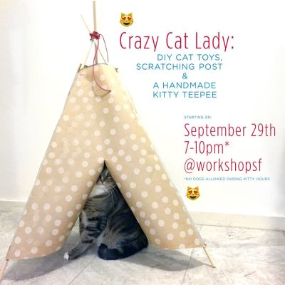 Flyer for 'Crazy Cat Lady' workshop