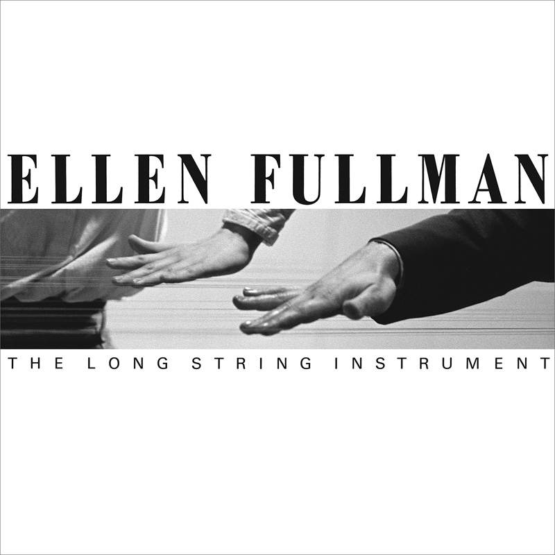 Ellen Fullman, 'The Long String Instrument.'