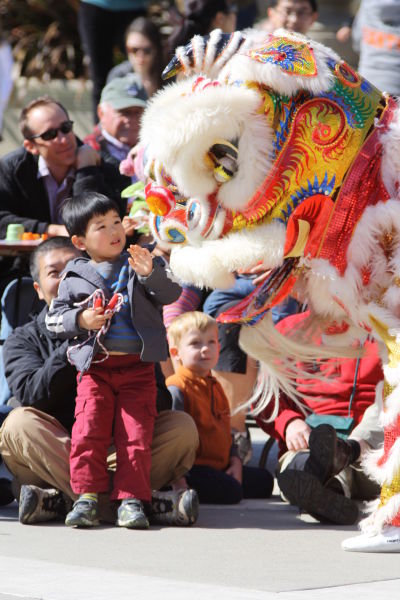 A toddler can't help but reach out to check out this lion at a recent Redwood City's Lunar New Year Celebration.