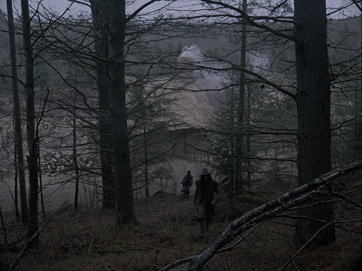 Hemlock and pine tress in The Witch; Courtesy A24 Films.