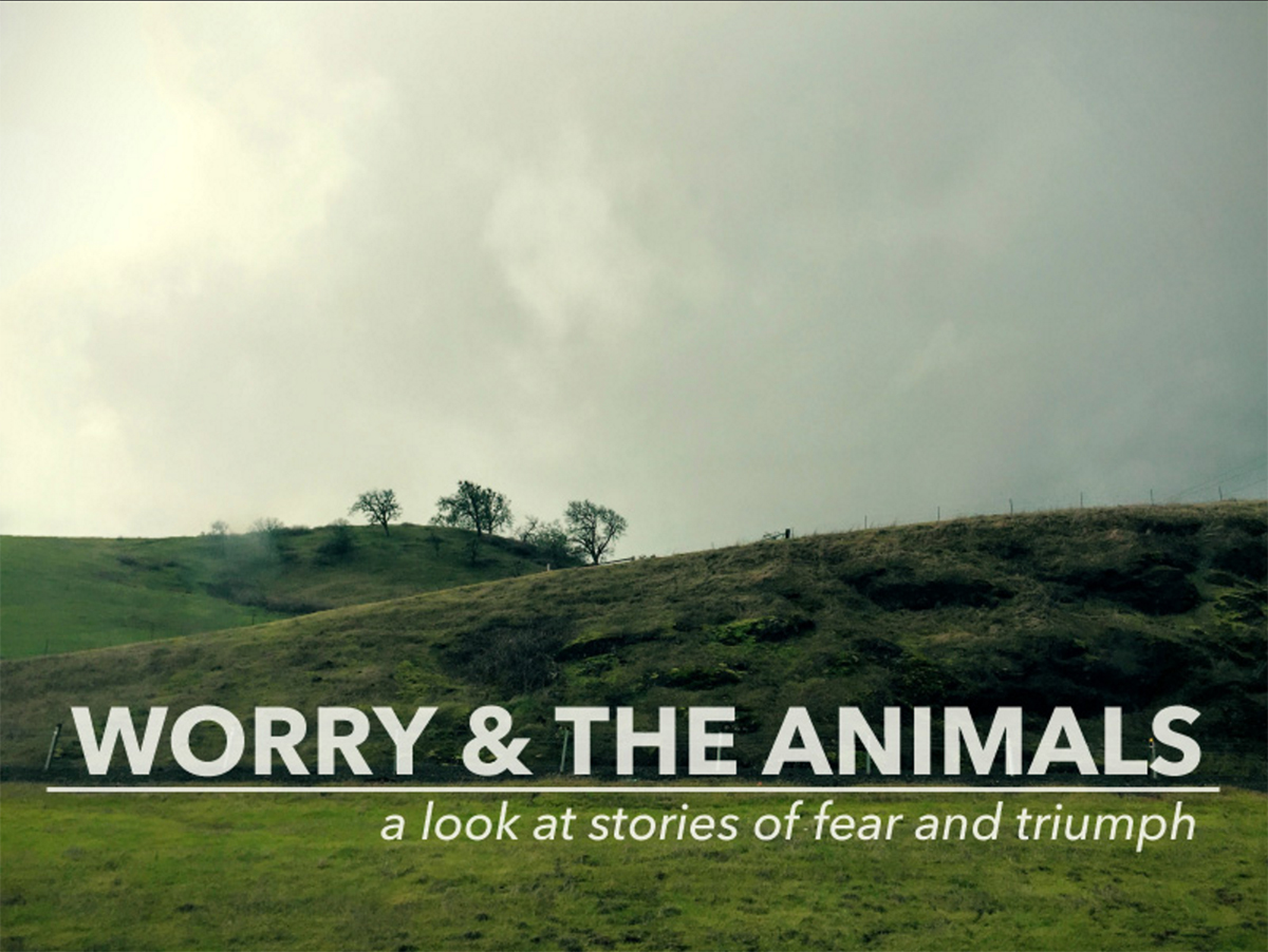 Amber Cady, 'Worry & The Animals.'