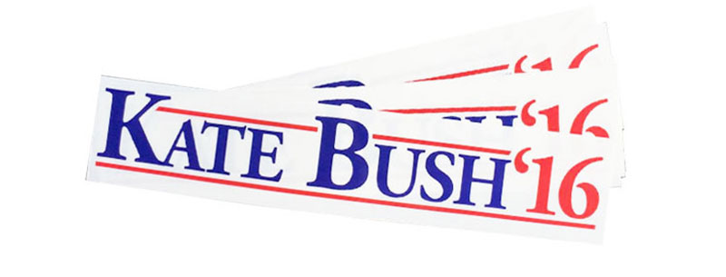Eggy Press' Kate Bush bumper sticker.