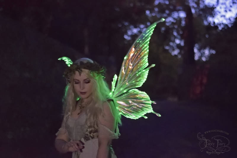 A model wears the Flora Light Up Fairy Wings designed by Angela Jarman. Photo and wing lighting by Jordan Price.