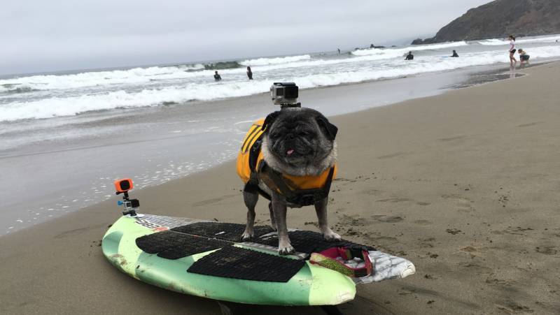 Don't let her diminutive size fool you. Brandy is a monster on the waves and online. Her GoPro videos get hundreds of thousands of viewers.