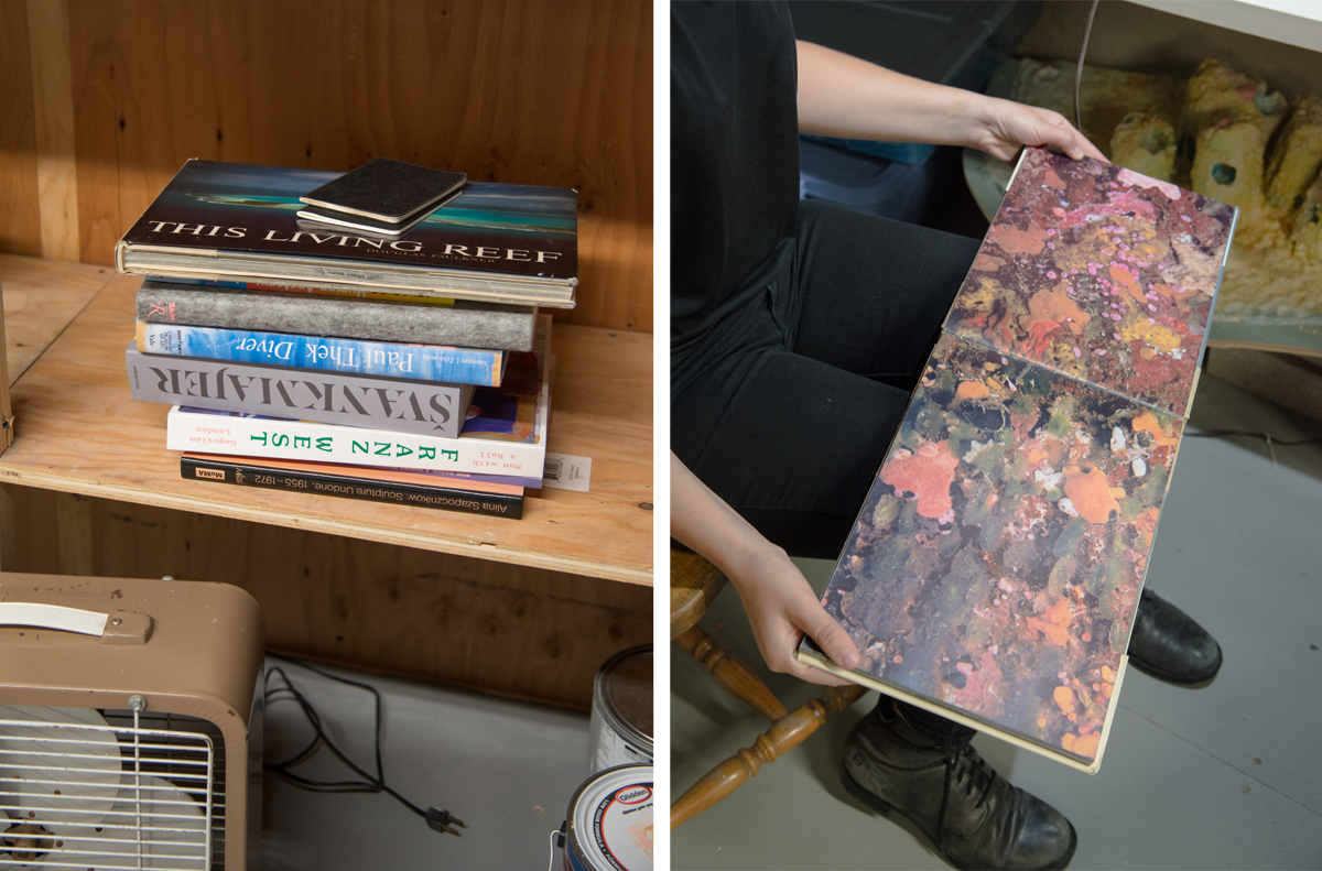 Reference books and research in Lempesis' studio; A spread in 'This Living Reef.'