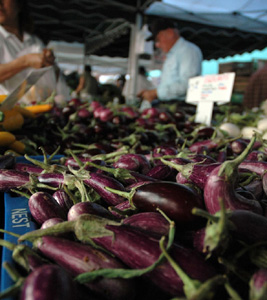 eggplants at farmers market