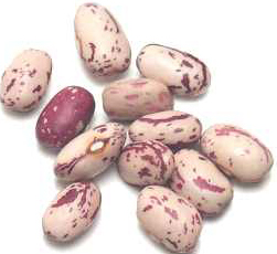 cranberrybeans