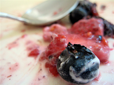 eaten berries