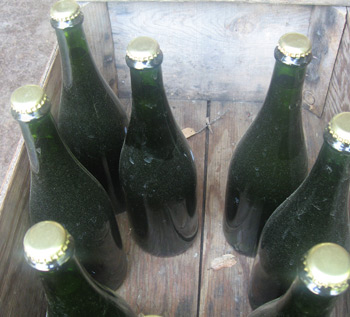 philo bottles