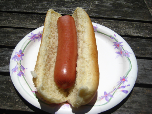 hot dog on a bun