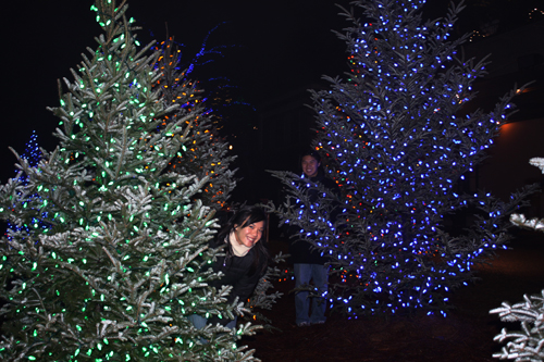 Christmas lights at Longwood Gardens