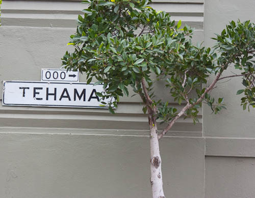 Tehama street