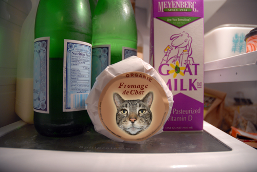 Fromage de Chat