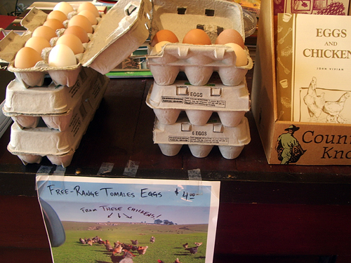 Egg cartons on the counter at Omnivore Books in San Francisco