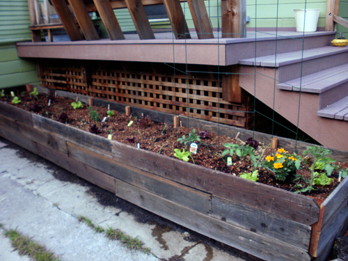 Planters shaped to flank the decks. Photo by Sally Carter.