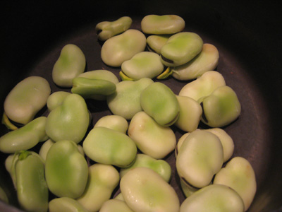 fava beans in their shells