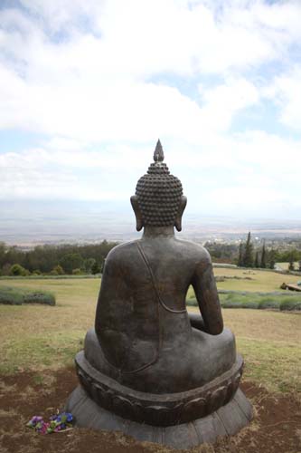 View from Buddha