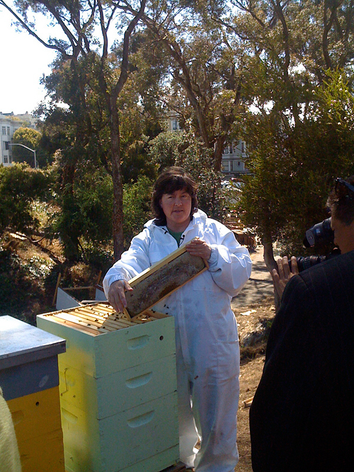 Karen Peteros Explains Bee Crime at Farm. Photo by Booka Alon