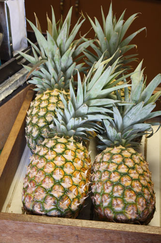 Maui Gold Pineapple