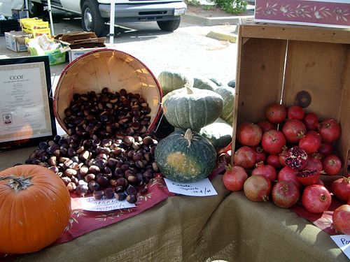 pumpkin, chestnuts, Kabocha squash, pomegranates