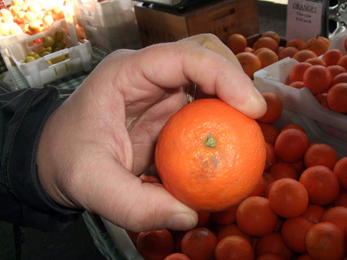 Page mandarin orange at Ferry Plaza Farmers Market. Photo by Tamara Palmer