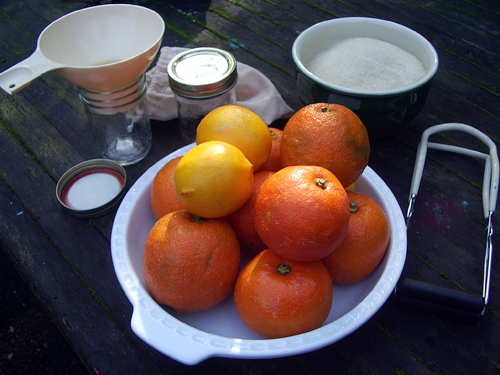 Seville oranges, sugar, and equipment