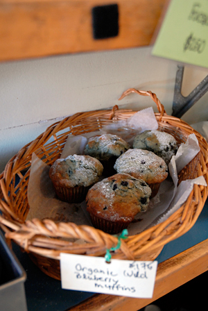 Organic Blueberry Muffins. Photo by Wendy Goodfriend