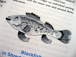 Fish illustration by Jacques Pepin in Essential Pepin 