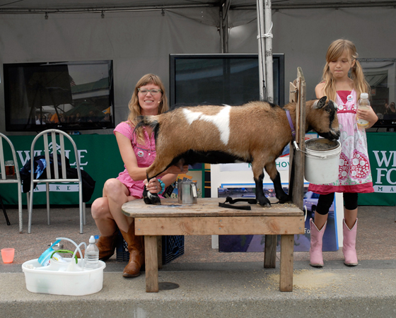 Goat-Milking Demo. Photo: Wendy Goodfriend