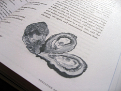 Oyster illustration by Jacques Pepin in Essential Pepin