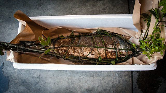 A fourteen pound California Chinook/King salmon from i love blue sea  wrapped in branches from a bay laurel tree. Photo: Sol Gate Studios 
