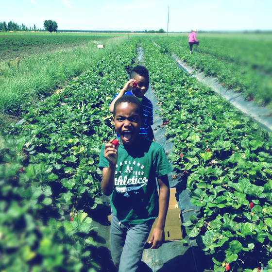 Kids picking strawberries at Eatwell Farm. Photo by Alicia Relles