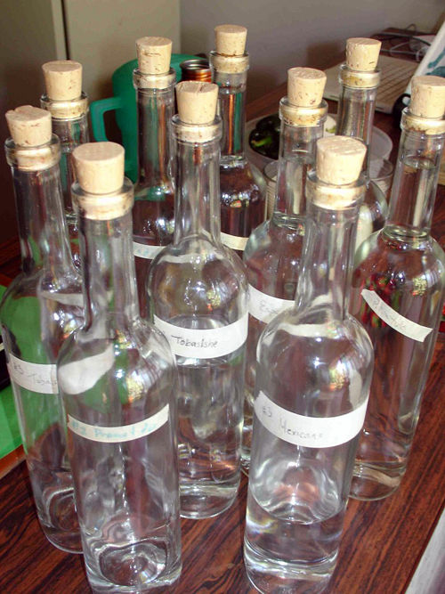 Mezcal bottles.  Photo: Susan Coss