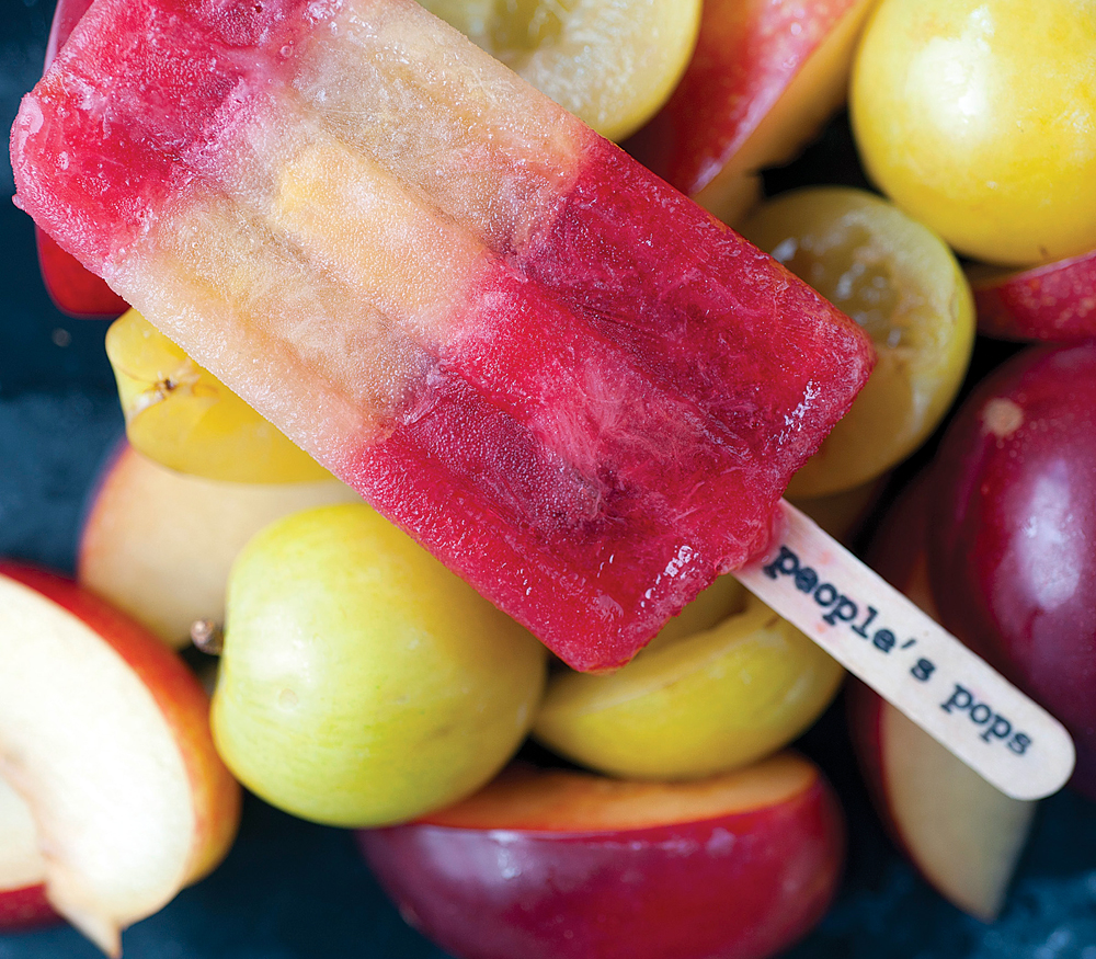 Roasted Red Plum Ice Pops