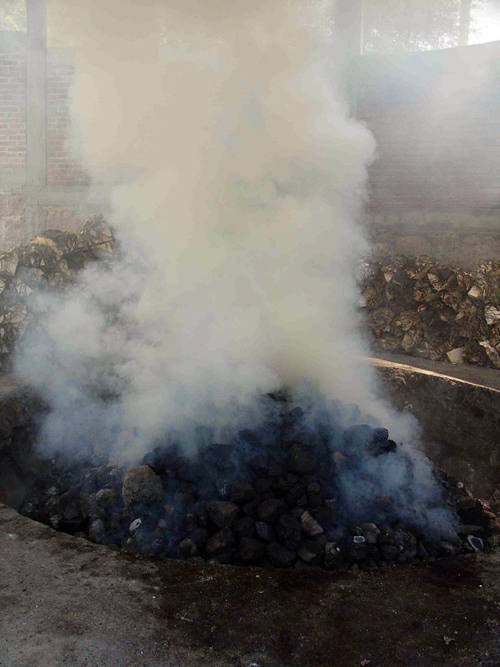 The roasting pit at Fidencio.  Photo: Susan Coss