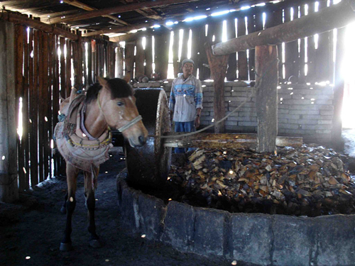 A tahona, the horse powered stone mill used to crush roasted agave into a pulp before it’s fermented and distilled into mezcal.  Photo: Susan Coss