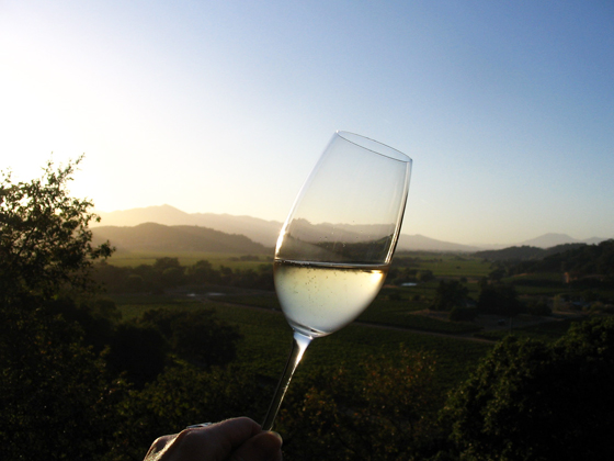 glass of wine against vineyard landscape