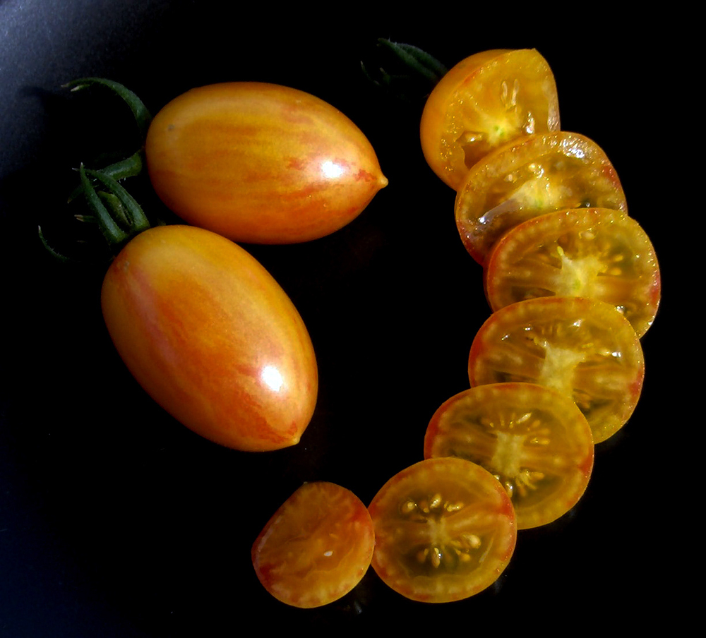 Blush Tomato by Fred Hempel. Photo: Fred Hempel at Baia Nicchia.