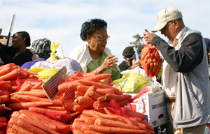 Food bank volunteers help get fresh produce to people quickly. Photo: Courtesy Alameda County Community Food Bank