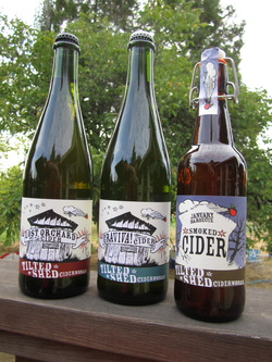 Three varieties of Tilted Shed bottled cider
