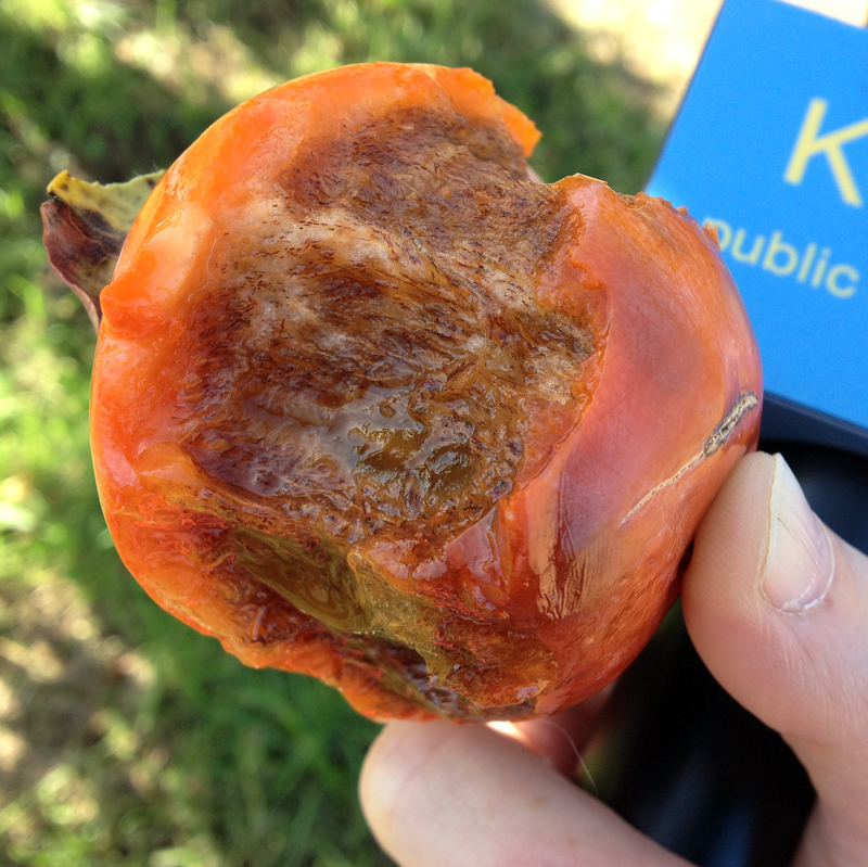 The inside view of the Maru or chocolate persimmon. Photo: Rachel Myrow