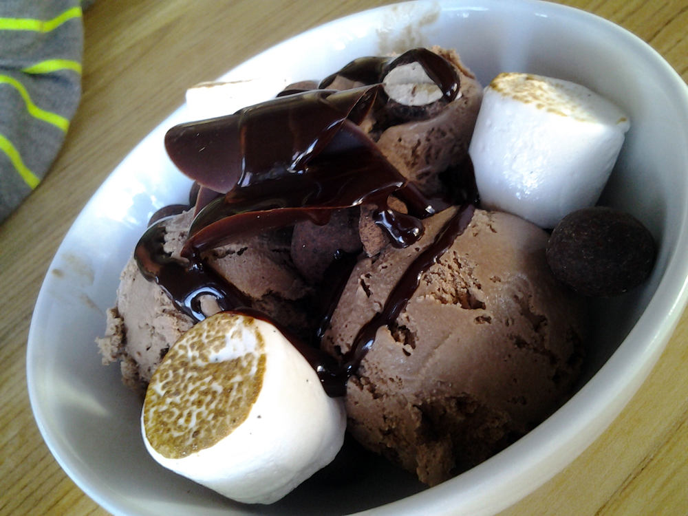 Chocolate Lab Ice-Cream Sundae