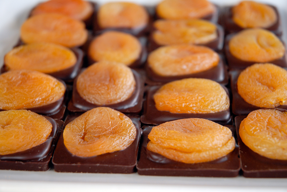 Dried Apricot Plaques